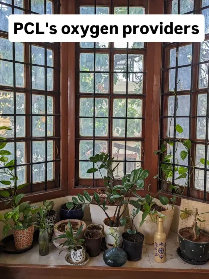 Paper Crane Lab - Makerspace Workshops & Lab Access Come Say Hello: Our Lab & Community photo 36