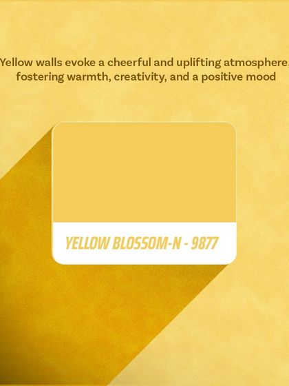 Paint My Walls - Painting Services Free Color Consultation & Inspiration photo 70