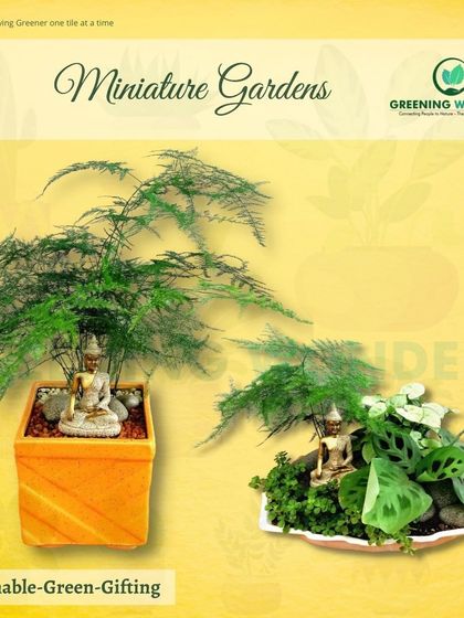 Greening Wonders - Corporate & Personal Plant Gifting Additional Work photo 23