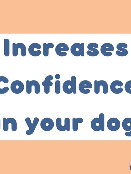 The goal of socialization is to increase your dog's confidence. A confident dog is less likely to be fearful or reactive when faced with new things.