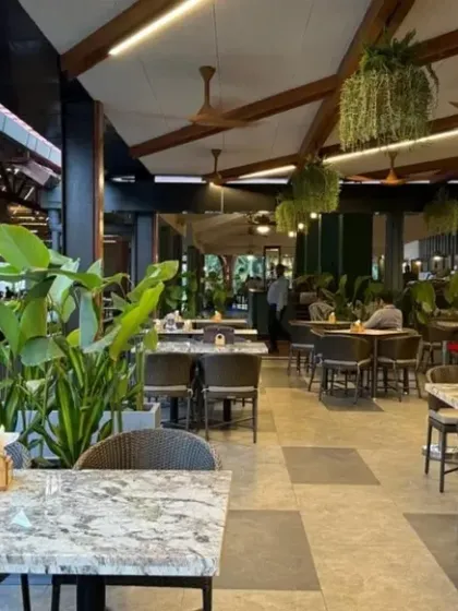 The open cafe space at Karnataka Golf Association, designed for calm and connection. Large planters with broad-leafed plants are used to define seating areas and create a sense of intimacy within the large, open-plan space.