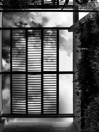 The same view of the pergola and green wall in black and white, emphasizing the strong architectural lines and the texture of the bamboo and foliage against the sky.