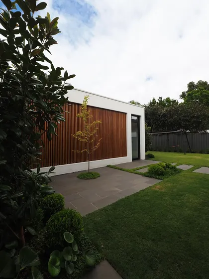 A minimalist design featuring a single specimen tree planted in a paved courtyard. The wooden feature wall adds warmth and texture to the modern architectural space.