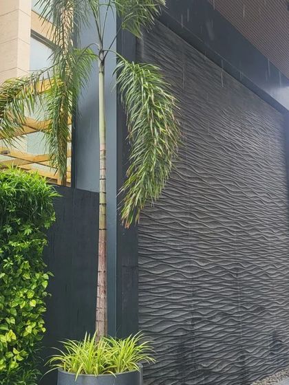 The boundary wall of a New Delhi residence featuring a dramatic, dark textured cladding next to a lush vertical garden. This juxtaposition of hard and soft textures creates a simple yet powerful design statement.