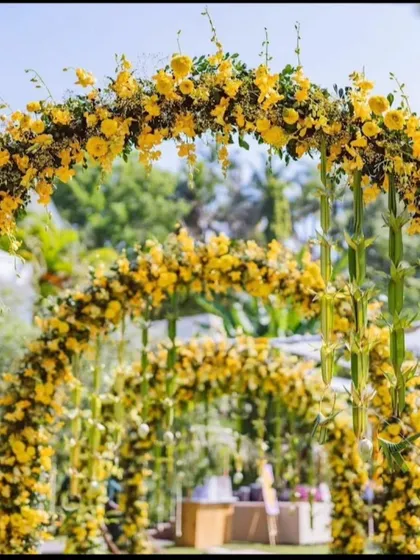 A stunning series of floral arches made from yellow flowers and green bamboo stalks. This design creates a beautiful, natural-looking tunnel for an outdoor or garden wedding.