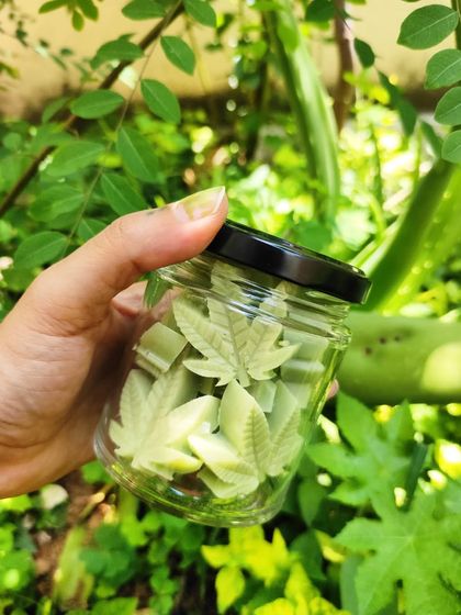 Mini soaps in a jar, featuring French green clay and lemongrass essential oil. This mineral-rich clay is renowned for its detoxifying properties, making it great for all skin types.