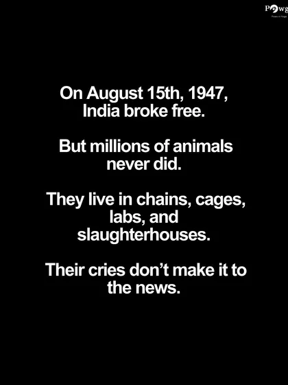 On August 15th, we remember that while India broke free, millions of animals did not. They remain in chains, cages, and labs, their cries unheard.