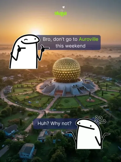 "Bro, don't go to Auroville this weekend." "Why not?" This meme is for anyone who needs to see the other side of the story. Our no-phone retreat here is a game-changer.