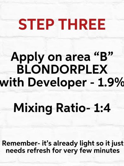 Step Three of lightening. A very gentle mix is applied to the already light ends just to refresh them and create an even canvas.