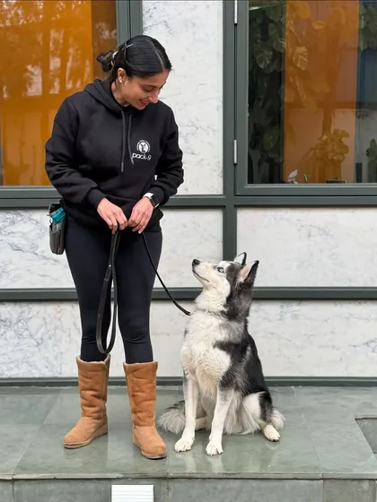 Working with Obi on his focus. For anxious dogs, teaching them to look to their handler for guidance instead of panicking is a game-changer.