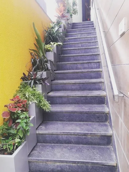 A wider view of the staircase planters. Lining them up along the side creates a beautiful green border that transforms a purely functional space into a decorative garden path.