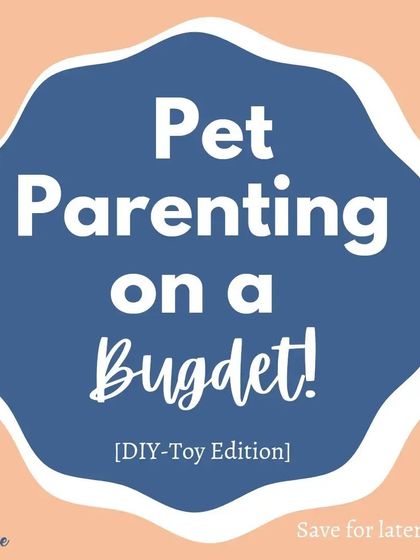 More ideas for pet parenting on a budget! I'm full of them. My goal is to make training accessible and fun for everyone.