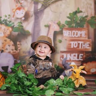 The Baby Book
