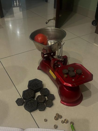 Hattennoki - Academic Tutoring & Enrichment Programs Interactive Math & STEM Workshops photo 13