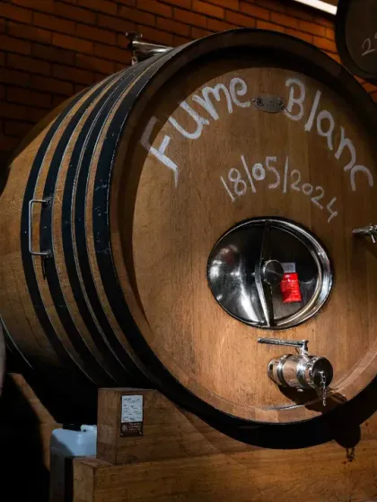 Craftsmanship is at the heart of what I do. This is one of our rare Foudre barrels, where our La Réserve Fumé Blanc ages. This traditional method preserves the wine's pure character while adding texture and depth, a quiet alchemy that defines our process.