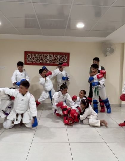 World Nihon Shotokan Karate Federation - Competitive Karate Training Kumite: Sparring & Combat Drills photo 11