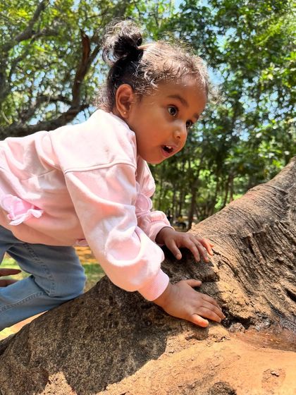With hands firmly planted, this young explorer is ready for the next move. Every climb is a small victory that builds resilience and self-esteem.