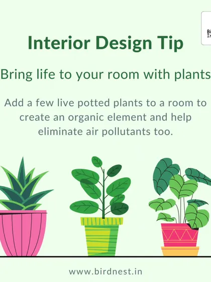 Interior Design Tip: Adding a few live potted plants is an easy way to bring life and an organic element into any room while also helping to improve air quality.
