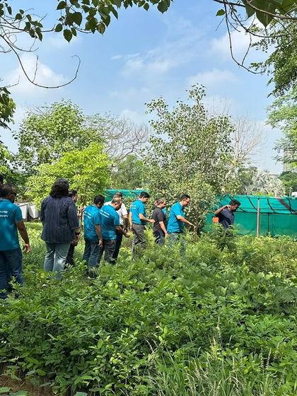 The Valvoline Cummins team takes a slow walk through our Aranya nursery, discovering how each sapling is nurtured before being planted at a restoration site.