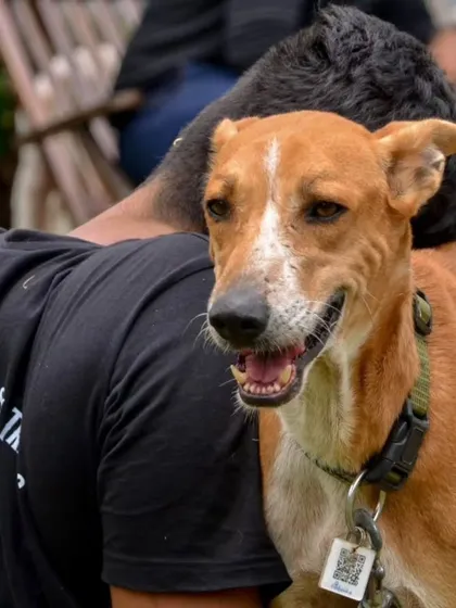 The bond between a human and a dog is a powerful thing. We see it every day in the quiet moments of trust and affection, like this one. This connection is the foundation of all our rehabilitation and adoption work.