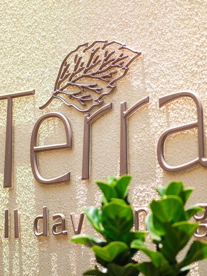 A close-up of the Terra signage, highlighting the leaf motif that symbolizes our focus on natural and fresh ingredients.