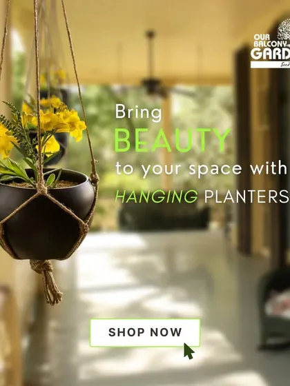 Bring beauty to your space with our hanging metal planters. The simple black pot held by jute ropes is perfect for a porch or balcony.