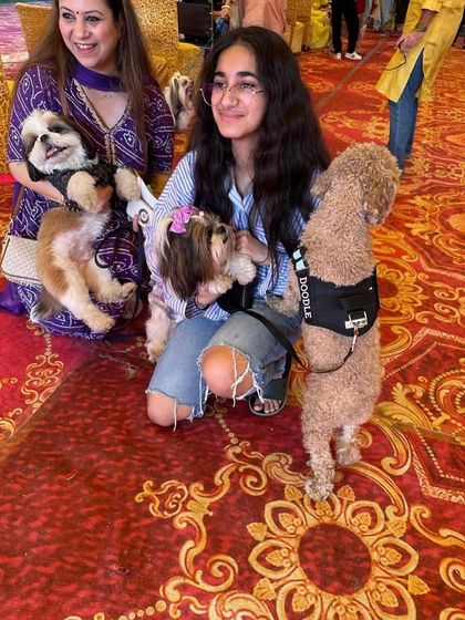 A candid shot of a group of friends, human and canine, enjoying the Durga Puja event. You can see a Poodle, Shih Tzus, and their parents all mingling on the festive carpet.