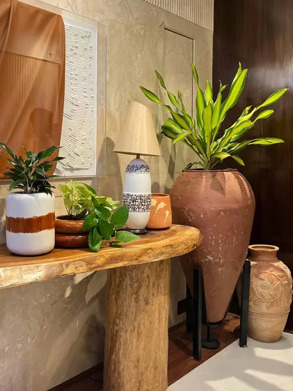 Dressing up an entrance lobby with earthy textures and shades of green. We used a mix of our quirky pots and assorted plants on a rustic wooden console to create a warm and welcoming first impression.