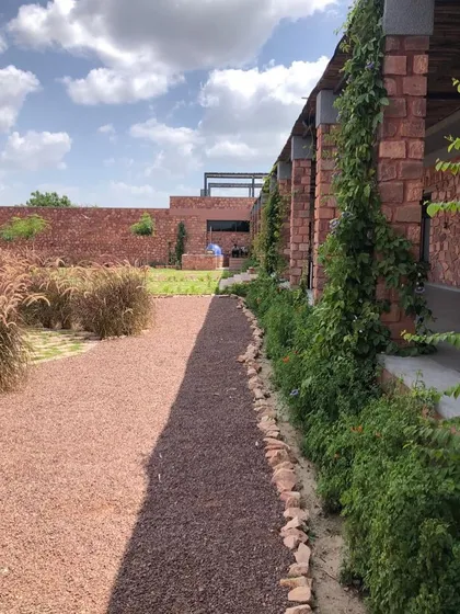 A gravel and earth pathway runs alongside a veranda supported by stone-clad pillars in Jodhpur. The planting is composed of hardy, drought-tolerant species and climbers that will gradually cover the pillars.
