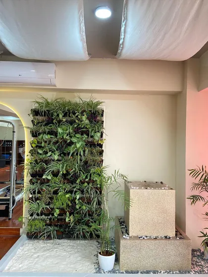 I believe the environment is part of the practice. Our living green wall and the gentle sound from the water feature create a Zen-like corner in the studio, helping you connect with nature and calm your mind.
