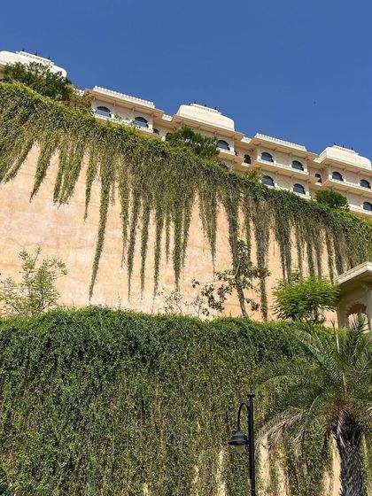 YogaByShi - Sustainable Home Gardening Gardening Inspiration from My Travels photo 11