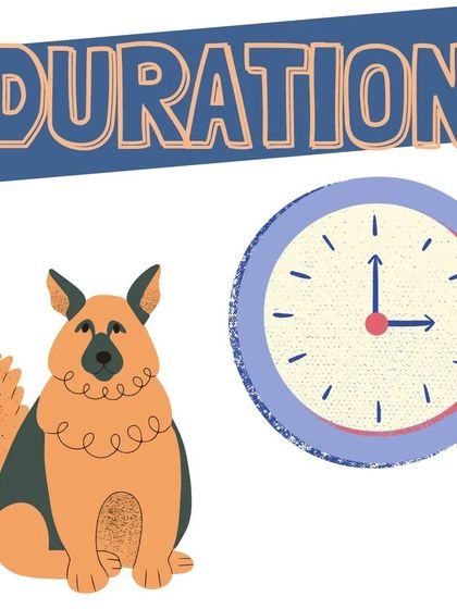 First, we work on duration. This means teaching your dog to stay for a few seconds, then gradually increasing the time. Patience is key!