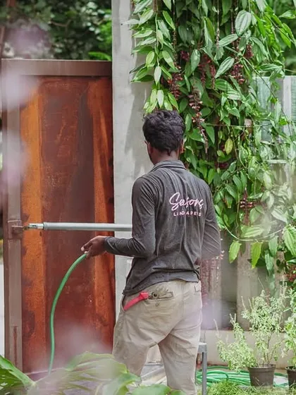 It's the quiet, consistent care that keeps a space alive. A team member watering the garden is a daily ritual that ensures every plant gets the hydration it needs, preserving the calm and beauty of the landscape.