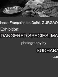 French Cultural Immersion & Events