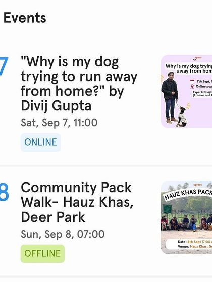 From online expert sessions on dog behavior to offline community pack walks, you can find and sign up for all our events directly on the Sploot app.