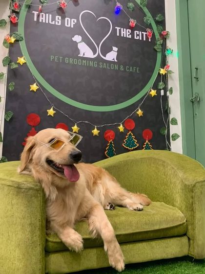 Tails of the City - Pet Spa & Creative Styling Our Happy Pack: Client Gallery photo 26