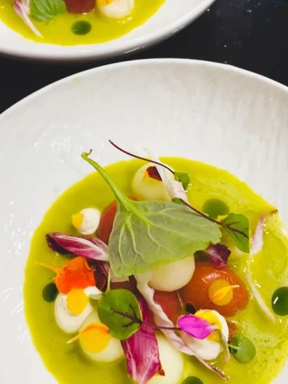 A colorful seafood dish featuring scallops and heirloom tomatoes in a light, herbaceous broth. A perfect example of a light yet flavorful course.