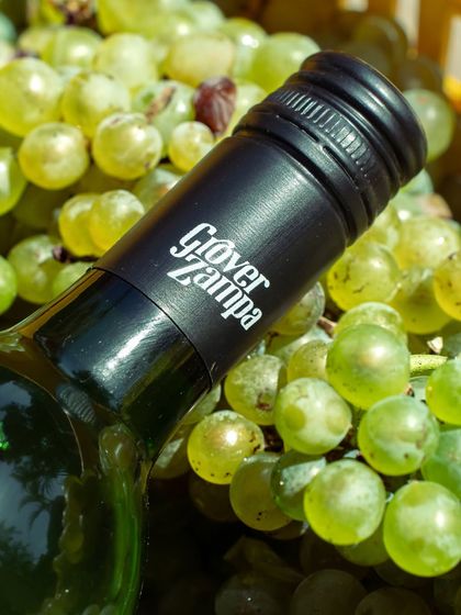 The distinctive black cap of our Art Collection Sauvignon Blanc, resting on a bed of the very grapes it was made from. This wine is aromatic and refreshingly crisp, perfect for a warm day.