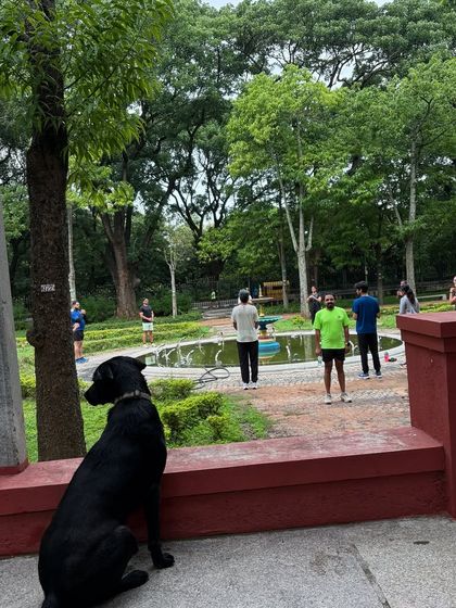 Sujith Kumar - Running & Fitness Coaching My Paw Friends photo 67