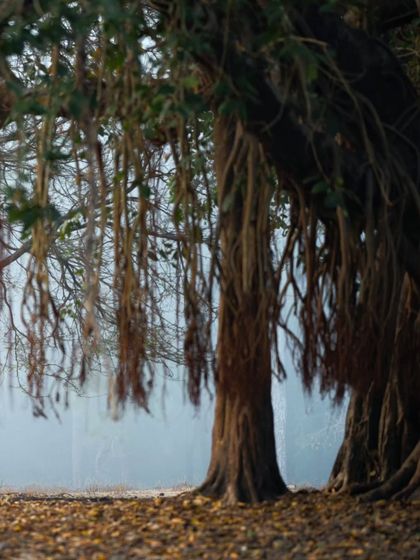 Giants & Other Jewels photo 10