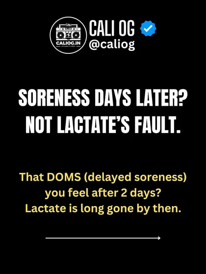 That soreness you feel days later? It's not lactate's fault. That's Delayed Onset Muscle Soreness (DOMS), and lactate is long gone by then.