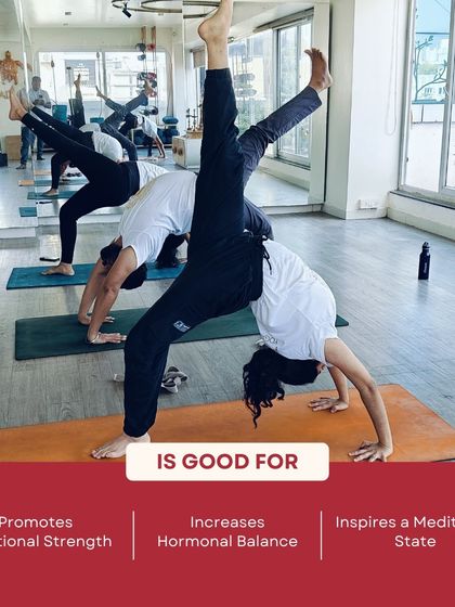 Aikia Yogashala - Yoga Teacher Training Asana Library: Know Your Poses photo 9