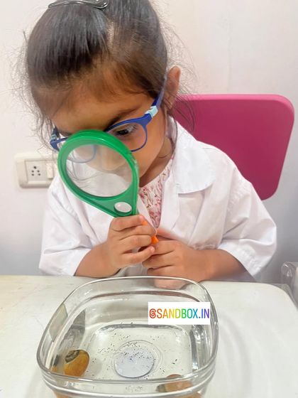 We believe in learning from real specimens. This student is using a magnifying glass to get a closer look at snails, observing how they move and behave.