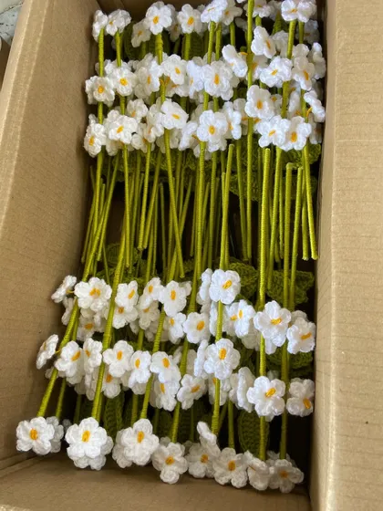 A box packed with delicate white forget-me-not stems.