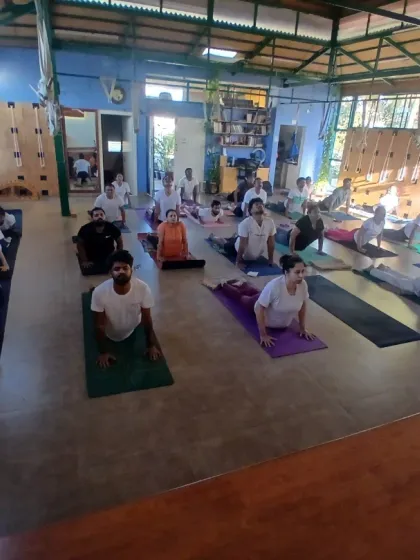 Yogavijnana - Yoga Classes & Therapy In-Studio & Online Classes photo 3