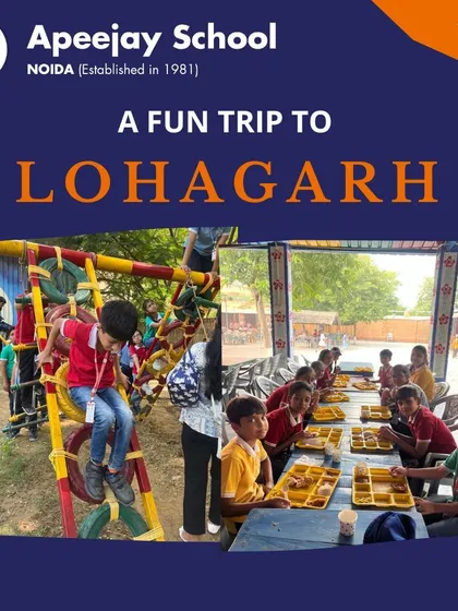 The trip to Lohagarh Farms included a variety of activities, from climbing structures to enjoying a communal meal. It was a day of adventure, learning, and refueling with friends.