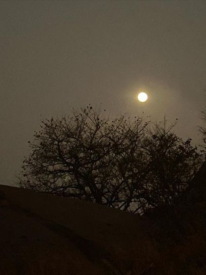 The moon shines brightly over the trail on our Huthridurga (Uttari Betta) night trek.