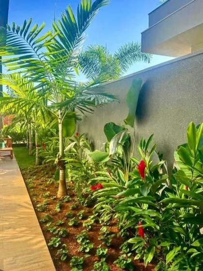 A narrow side yard is transformed into a tropical walkway with Areca palms and flowering ginger plants. This type of border planting is effective for creating privacy and hiding boundary walls.