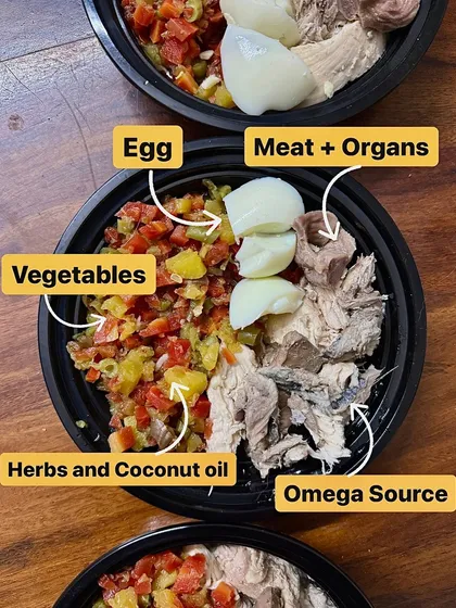 I have no secrets. This is what a balanced, species-appropriate meal looks like. It's a mix of high-quality protein from meat and organs, omega-3s from fish, fiber from fresh vegetables, a whole egg for nutrients, and beneficial herbs and coconut oil. It's not dog food, it's just food.