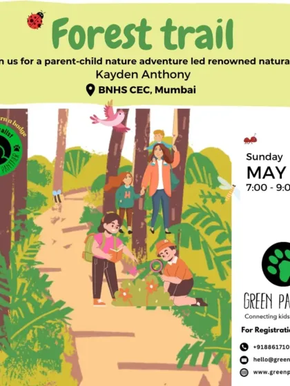 Our expert naturalists are always there to point out hidden wonders, like this one during our Mother's Day forest trail. Learning happens at every step of the journey.